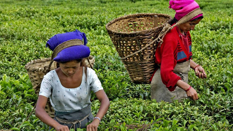 Haven On Earth - Ilam