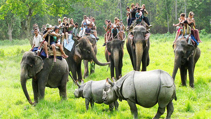 Itahari to Koshi tappu 1 day Tour Package